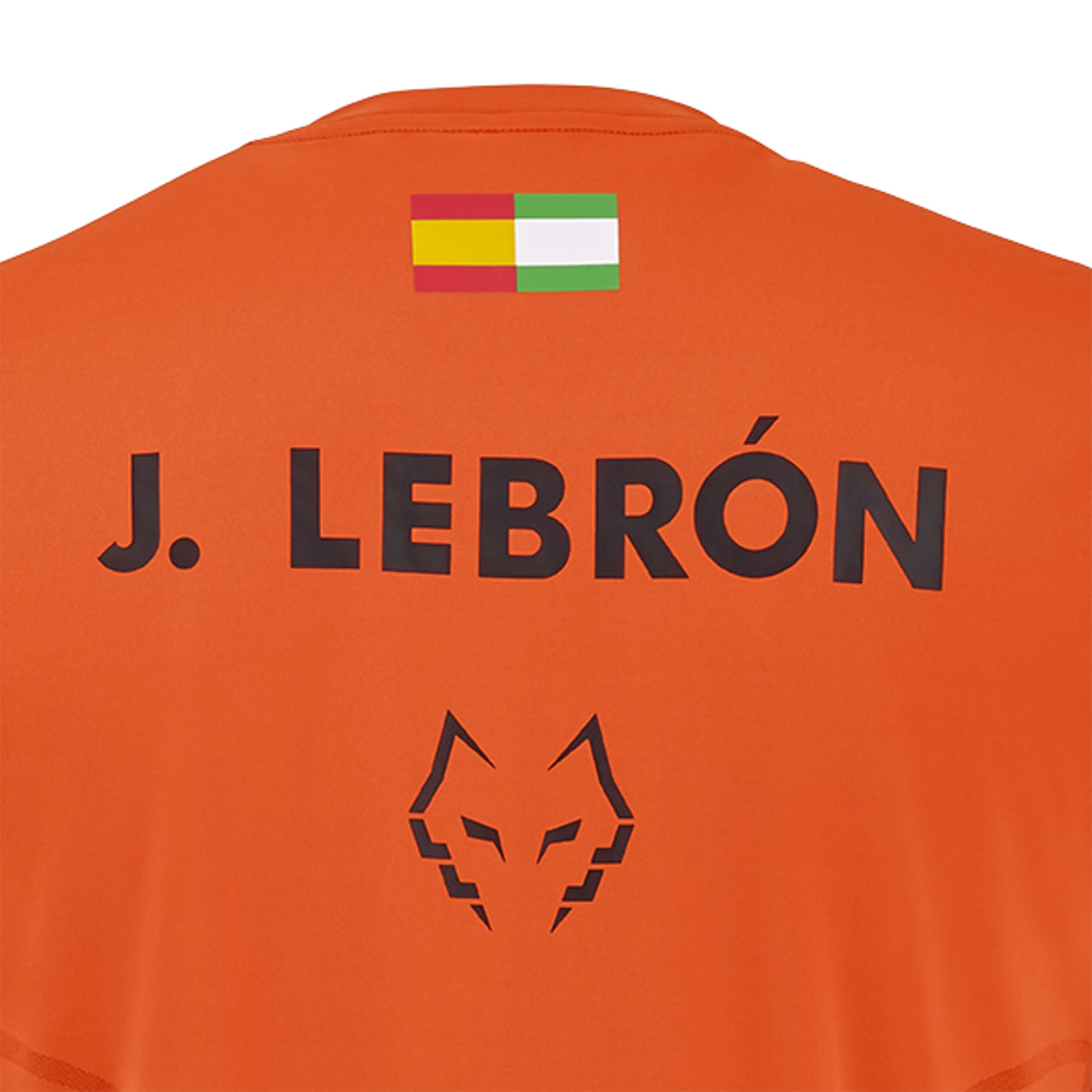 BABOLAT JUAN LEBRON PRO 2026